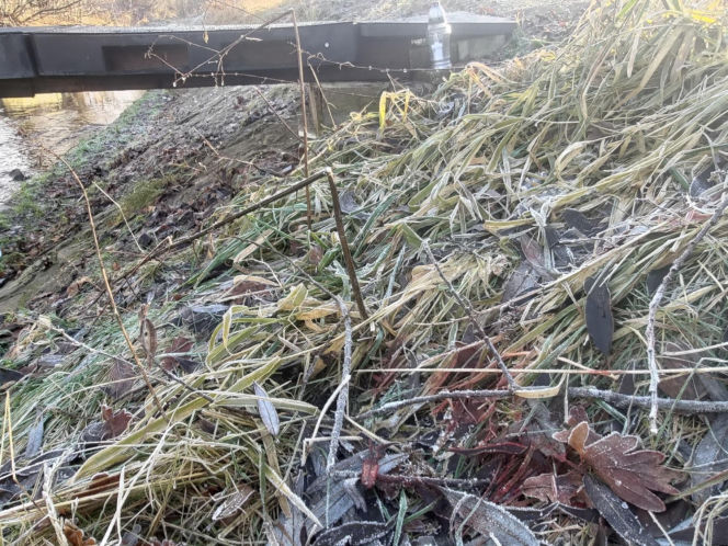 Ciało 11-letniej dziewczynki odnalezione niedaleko szkoły. Tragedia w Jeleniej Górze