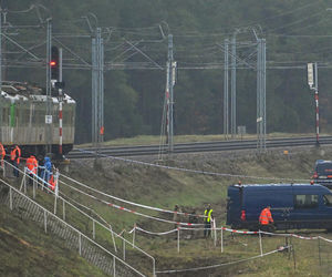 Nagłe zatrzymanie pociągu pod Puławami. Mamy zdjęcia!