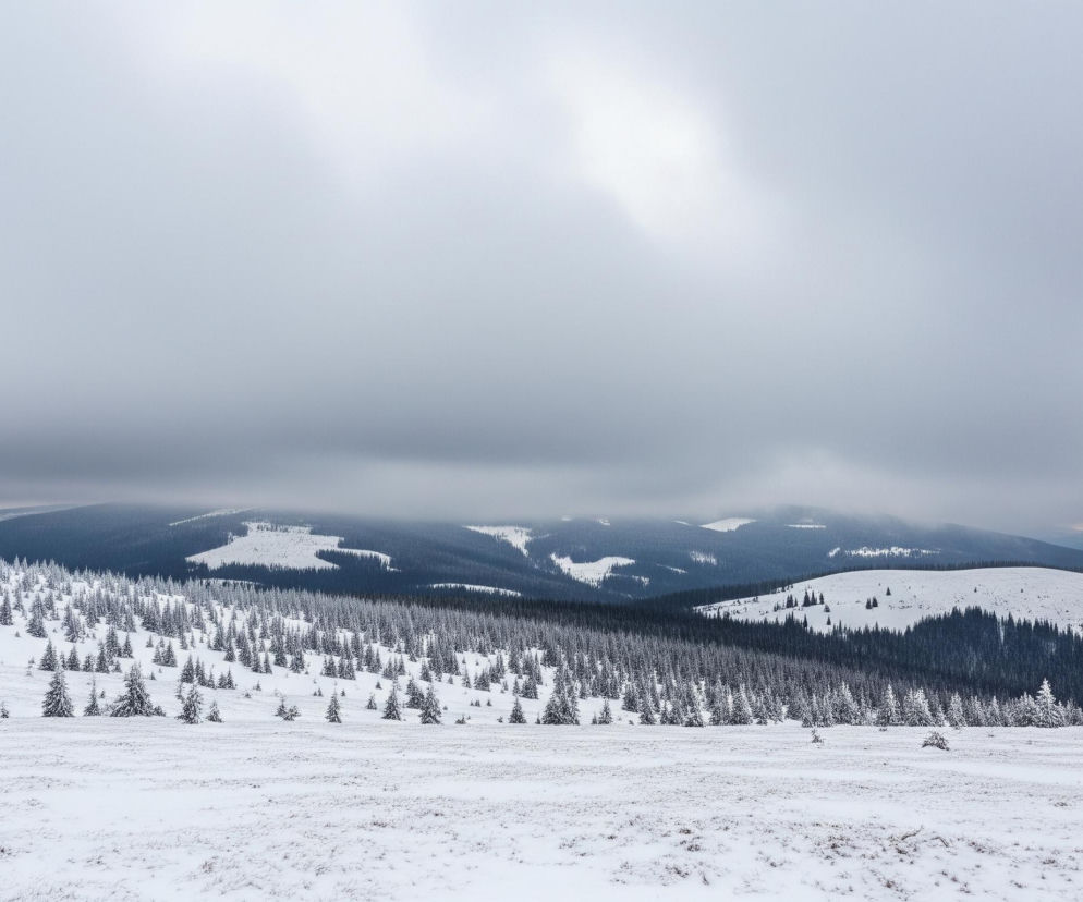 Rozległy, zimowy krajobraz górski wypełnia obraz, z białym, pokrytym śniegiem pierwszym planem, na którym rosną nieliczne, małe, ośnieżone drzewka iglaste i widoczne są ślady trawiastej roślinności. Środkowy plan zajmują liczne drzewa iglaste, pokryte warstwą śniegu, rosnące na zboczu wzgórza, stopniowo przechodzące w gęstszy, ciemniejszy las, rozciągający się na dalszych planach. W tle widoczne są kolejne pasma górskie, częściowo zasnute mgłą lub chmurami, tworząc warstwowy efekt zacierania się horyzontu. Całość jest pod szarym, zachmurzonym niebem, które zajmuje górną połowę kadru, a jedynie wąski pasek jaśniejszego światła przebija się na horyzoncie po prawej stronie.