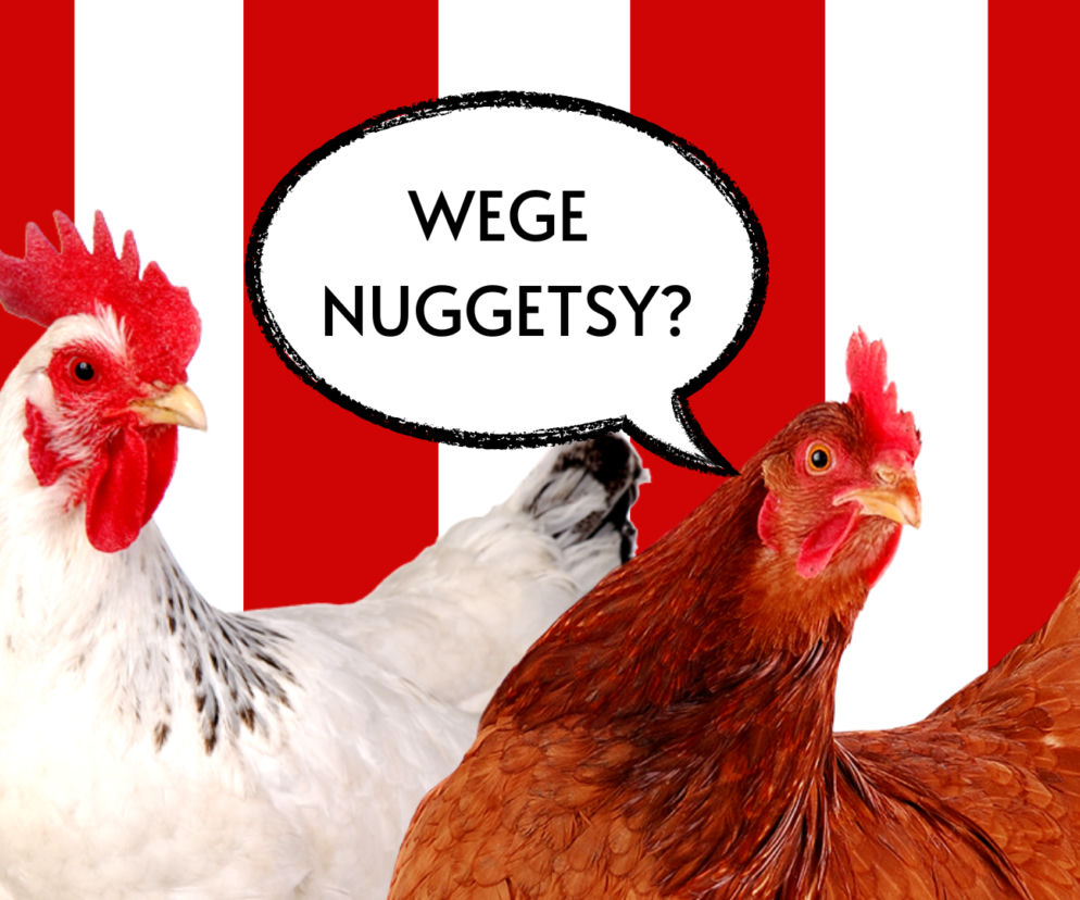 Roślinne nuggetsy?