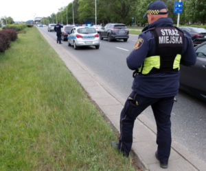 Spłoszyła się i wbiegła na Wisłostradę. Służby ruszyły na pomoc potrąconej suczce
