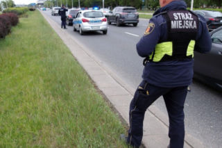 Spłoszyła się i wbiegła na Wisłostradę. Służby ruszyły na pomoc potrąconej suczce