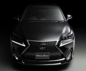 Lexus NX by Wald International