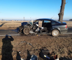 Groźny wypadek w Józefowie. Kierowca zakleszczony w zmiażdżonym aucie