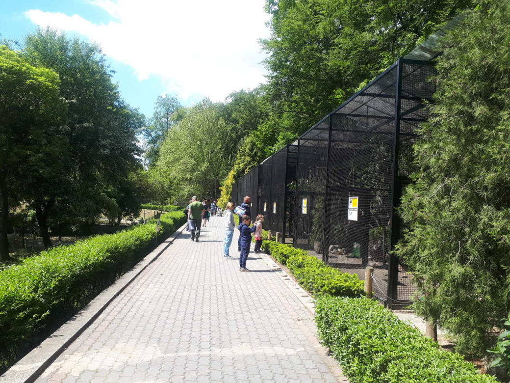 Krakowskie ZOO wznowiło działanie i zaprasza do odwiedzin