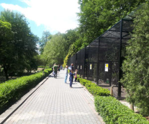 Krakowskie ZOO wznowiło działanie i zaprasza do odwiedzin