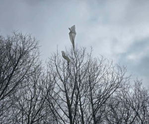 Tajemnicze balony spadły na Podlasiu. Służby zabezpieczyły nietypowy ładunek