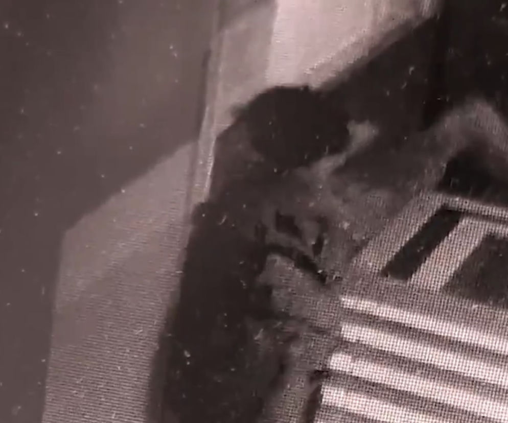 Kraków. Atak młotkiem na biuro PiS! Radny: Szczucie opozycji [WIDEO]