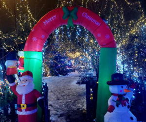 Dom bydgoskich Griswoldów znów rozbłysł. Powieśiliśmy 300 tysięcy lampek. Przygotowywaliśmy jej od lipca!