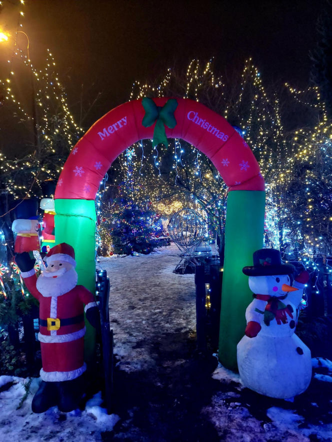 Dom bydgoskich Griswoldów znów rozbłysł. "Powieśiliśmy 300 tysięcy lampek. Przygotowywaliśmy jej od lipca!"