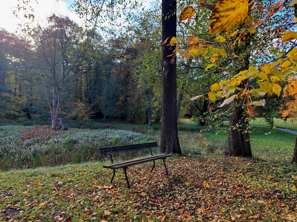 Złota polska jesień pod Bydgoszczą. Tak pięknie w ostromeckim parku chyba jeszcze nie było! [DUŻO ZDJĘĆ] 