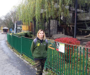 Pracownicy śląskiego ZOO chcą ratować pantery śnieżne