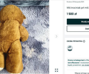 W PRL-u każde dziecko marzyło, aby znaleźć to pod choinką. Dziś za tę zabawkę można dostać krocie