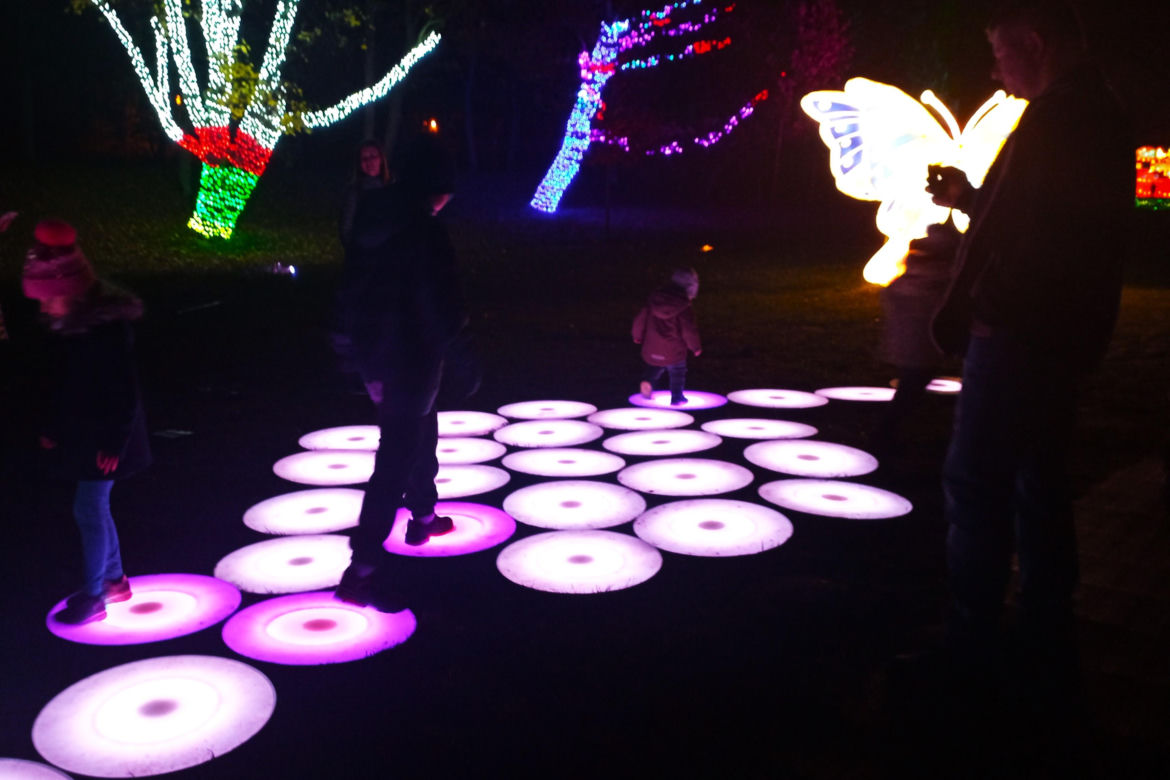 Garden of Lights w Szczecinie