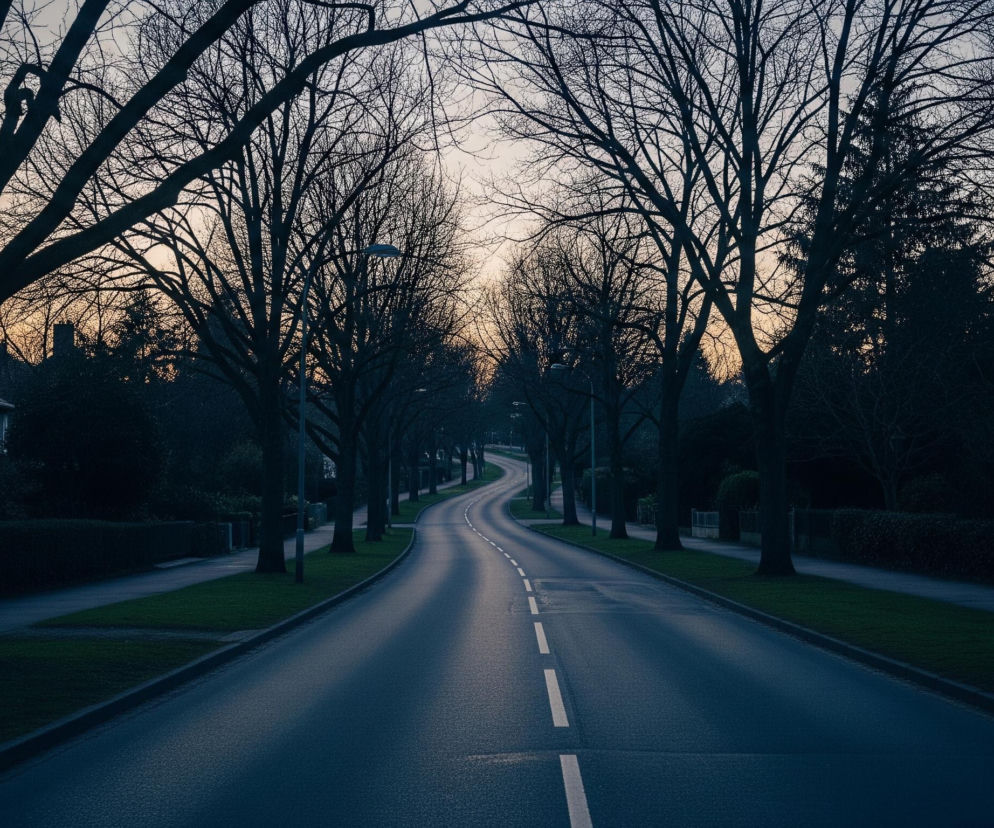 Długa, asfaltowa droga biegnie zakrętami przez centrum obrazu, z białymi, przerywanymi liniami oznaczającymi pasy ruchu, odbijającymi delikatnie światło. Po obu stronach drogi, na trawiastym poboczu, rosną rzędy nagich drzew o ciemnych, gęstych konarach, tworzących mroczne sylwetki na tle nieba. Niebo w górnej części obrazu ma odcień od błękitnoszarego po blado pomarańczowy w centralnej części, sugerując wschód lub zachód słońca. Po lewej stronie, za rzędem drzew, widoczne są fragmenty domów z dachami oraz gęste krzewy, natomiast po prawej stronie, w oddali, również rysują się sylwetki budynków i drzew.