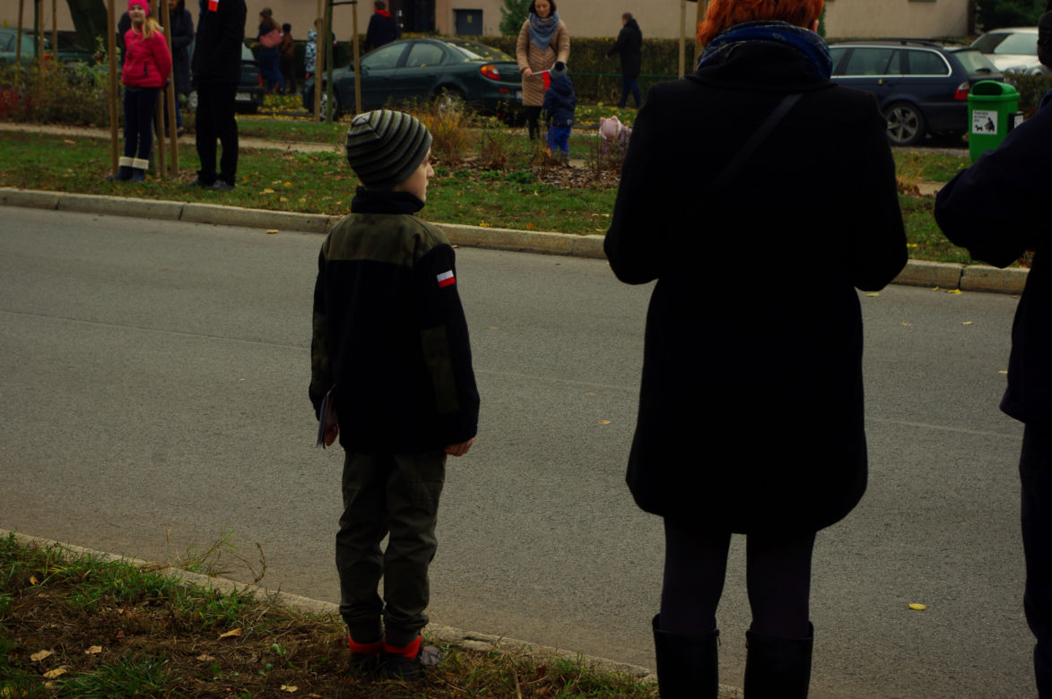 Marsz Niepodległościowy w Toruniu [GALERIA]