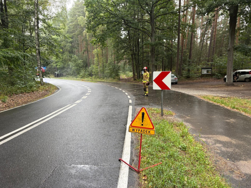 Kolizja na mokrej drodze we Włoszakowicach. Kierowcę wyciągali z auta strażacy