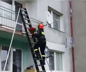 Wysoka: Przyjechał na sygnale do ukochanej. Wszedł na balkon i padł na kolana [WIDEO]