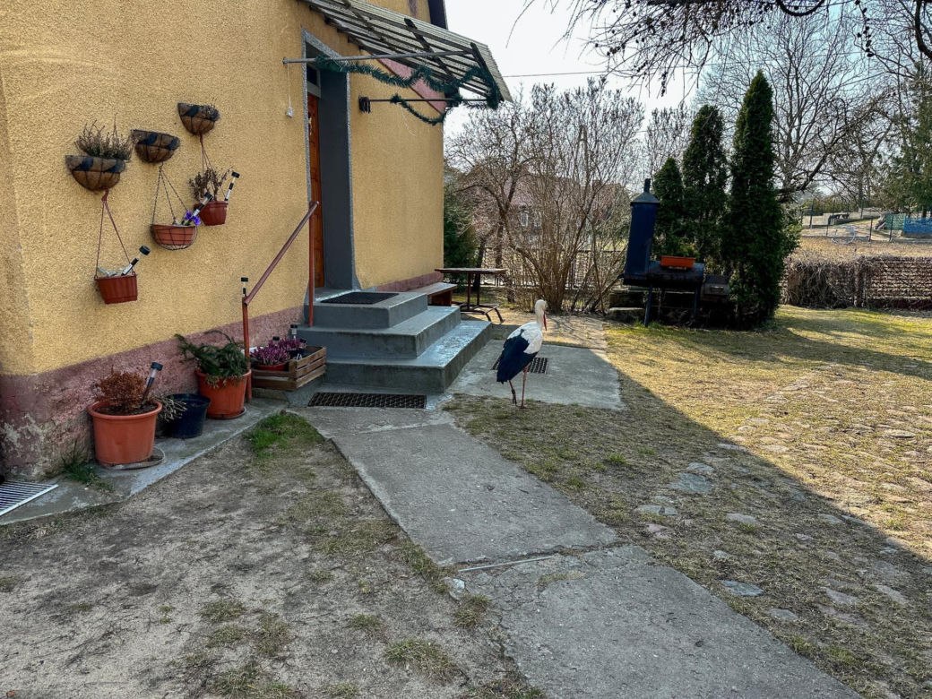 Pojechaliśmy odwiedzić Krutka. Bocian-celebryta wrócił na ukochaną wieś
