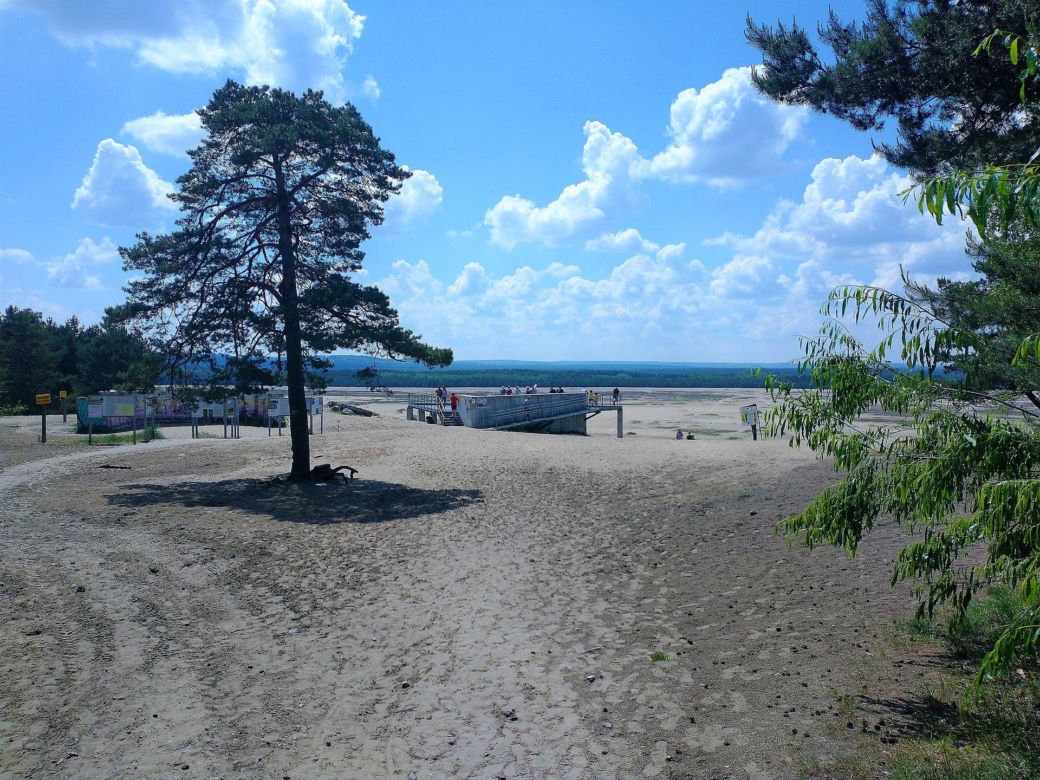 Pustynia Błędowska