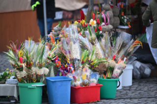 35 metrów i 80 centymetrów liczy palma, która zwyciężyła tegoroczny konkurs palm w Lipnicy Murowanej