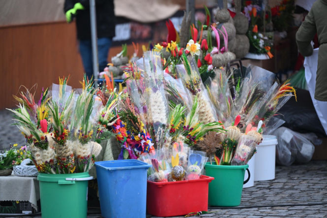 35 metrów i 80 centymetrów liczy palma, która zwyciężyła tegoroczny konkurs palm w Lipnicy Murowanej