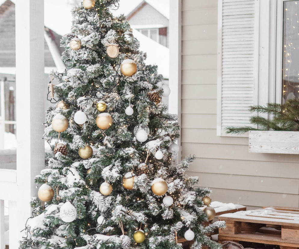  Historia świątecznej choinki. Zobacz najpiękniejsze dekoracje choinek 2025