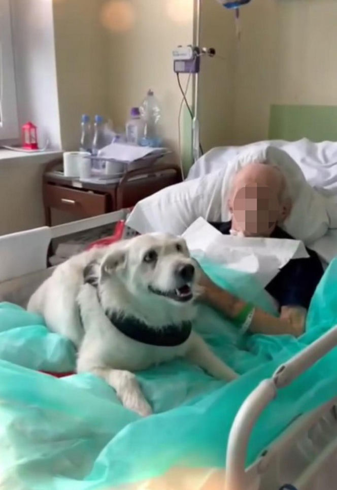 Legnica. Suczka Saba nie widziała właściciela przez 6 miesięcy. Odwiedziła go w szpitalu [ZDJĘCIA].