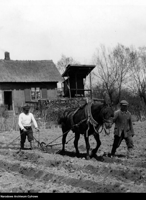 Tak mieszkało się na polskiej wsi prawie 100 lat temu. Zobaczcie te niezwykłe zdjęcia!