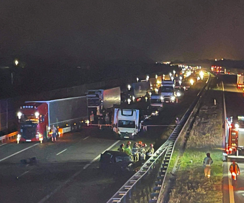 Masakra na A-2. Pod prąd pędził na autostradzie