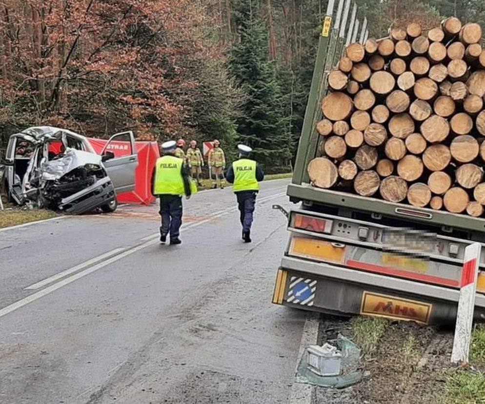 Makabryczna śmierć 46-latki w Zwierzyńcu. Z busa zostało niewiele [ZDJĘCIA]