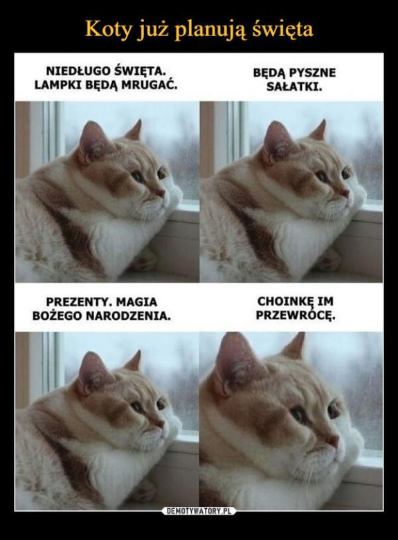 Najlepsze memy o świętach. Te obrazki rozbawią Cię do łez! Tak wygląda Boże Narodzenie oczami internautów [TOP 75]