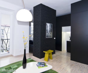 salon z kuchnią zdjęcia