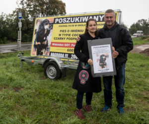 Cala Polska szuka Lemka - zaginionego psa.