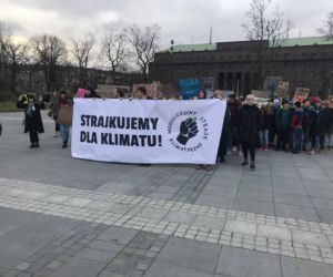 Manifestacja w obronie klimatu