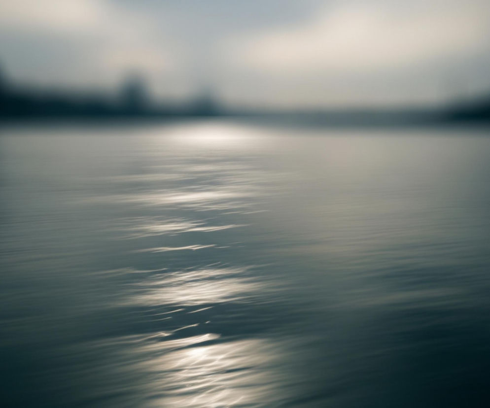 Powierzchnia wody, o głębokim, szarozielonym odcieniu, zajmuje większą część kadru. Na niej widoczne są drobne fale, a przez środek biegnie jasna, rozmyta smuga świetlna, rozciągająca się od dolnej części obrazu ku horyzontowi, gdzie łączy się z równie rozmytym, jasnym punktem. Horyzont tworzy rozmytą linię, dzielącą wodę od jaśniejszego, zamglonego nieba. Na tle nieba, po obu stronach smugi światła, widać ciemne, niewyraźne sylwetki obiektów, prawdopodobnie drzew lub budynków, wtapiające się w tło.