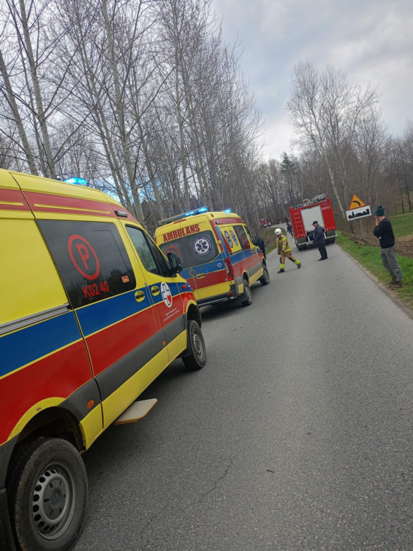 Czermna. Dostawcze IVECO roztrzaskało się na drzewie. Nie żyje kierowca