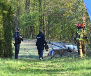 Akcja poszukiwawcza w Mikołowie