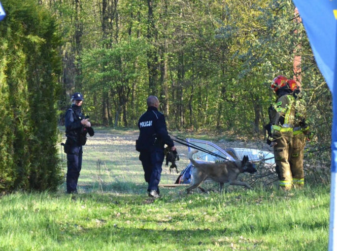 Akcja poszukiwawcza w Mikołowie