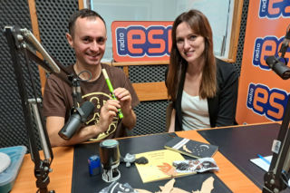 Nietoperze w Ryglicach: Odkryj ich sekrety w Strefie SOWA 