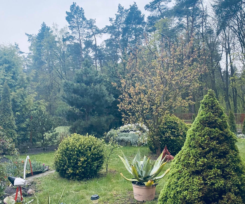 Ucieczka z miasta 