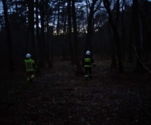 ZWŁOKI starszego mężczyzny znalezione w lesie! Był poszukiwany przez rodzinę
