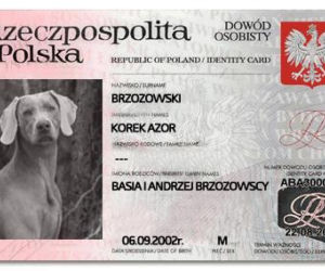 Na Wspólnej, pies Korek, dowód osobisty