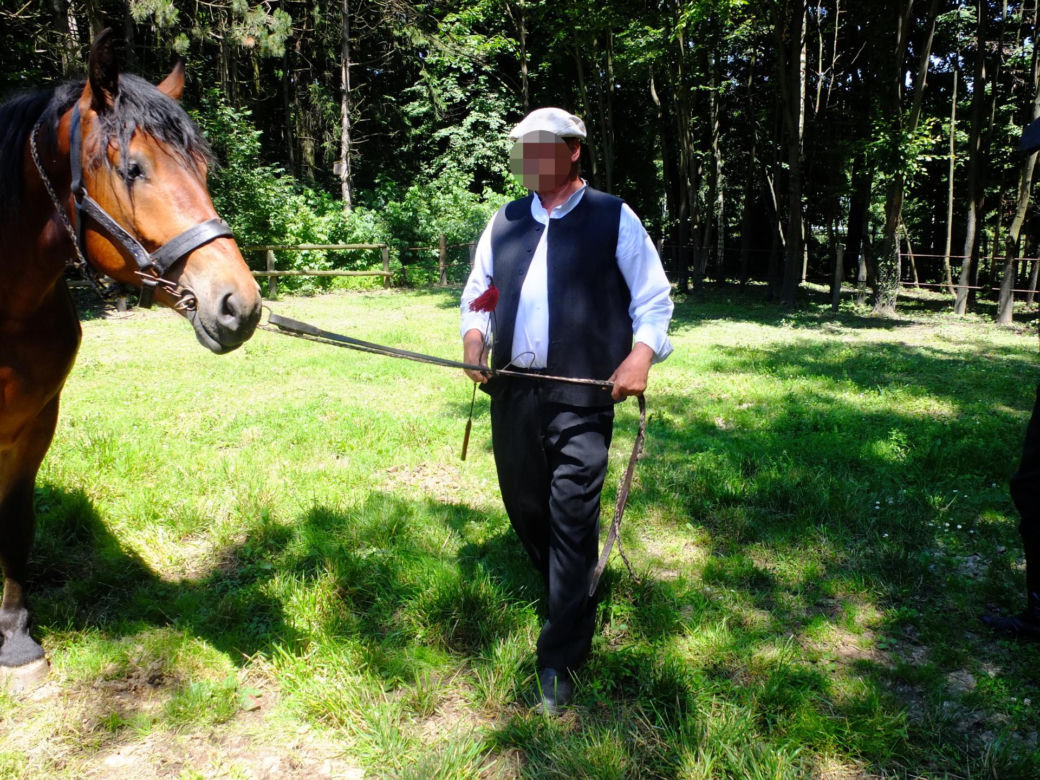 Jarmark Koński w Muzeum Wsi Lubelskiej. Ostre targowanie, próba uciągu i lit-kup na dyszlu [ZDJĘCIA, WIDEO]