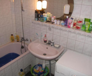 Zdjęcie 7264