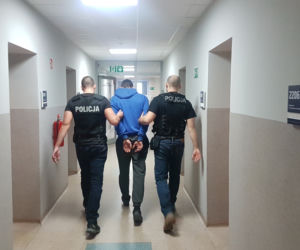 Zielona Góra. Policjanci zlikwidowali dziuplę. 3 osoby zatrzymane
