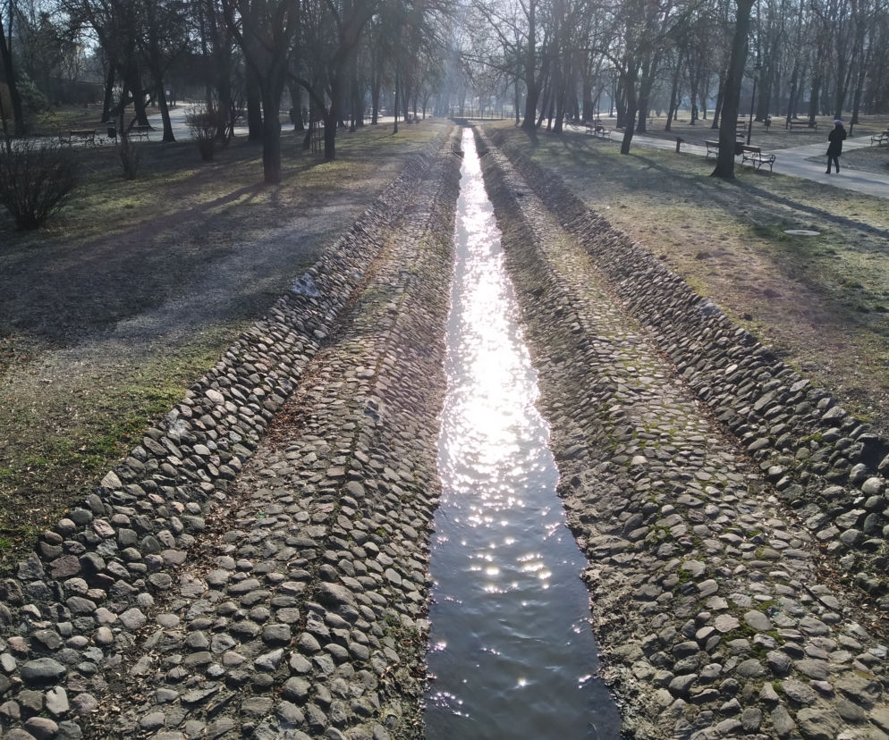leśniczówka woda potok północny life