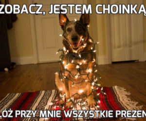 Choinka memy