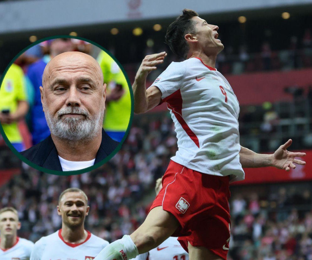 Sergej Barbarez, Robert Lewandowski