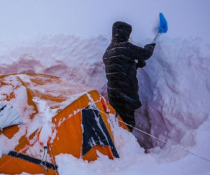 Brat Pereiry zabrał psa na Mont Everest